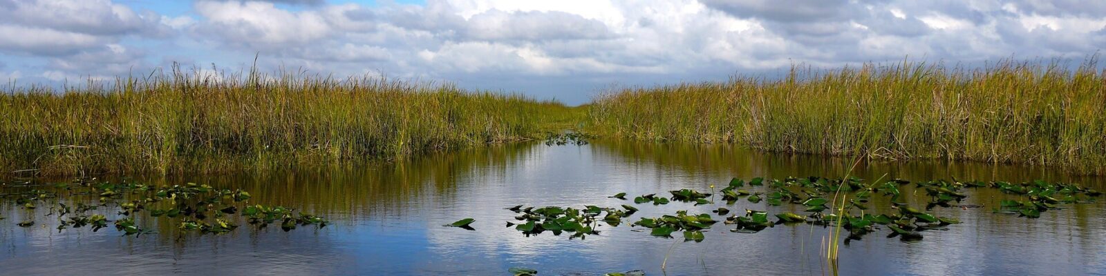 Exploring Florida’s amazing Everglades