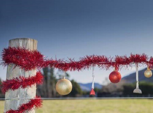 5 crazy Christmas traditions from around the world