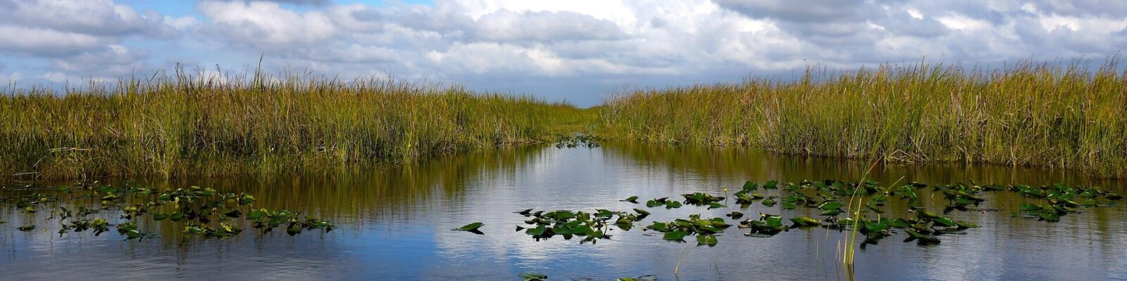 Florida: It’s more than just beaches and theme parks!