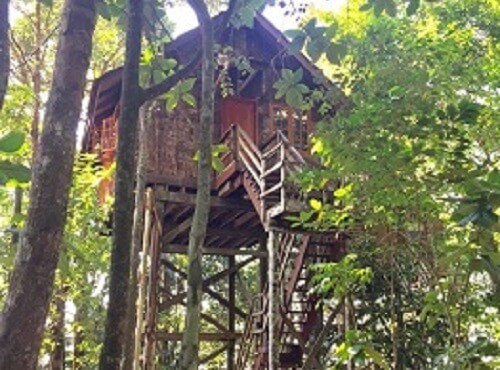 Dave Reviews the Permai Rainforest