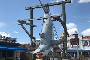 Sophie visits Orlando