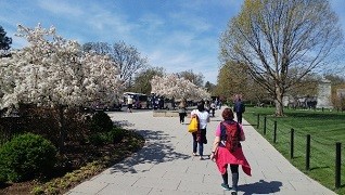 James's 72 Hours in Washington DC