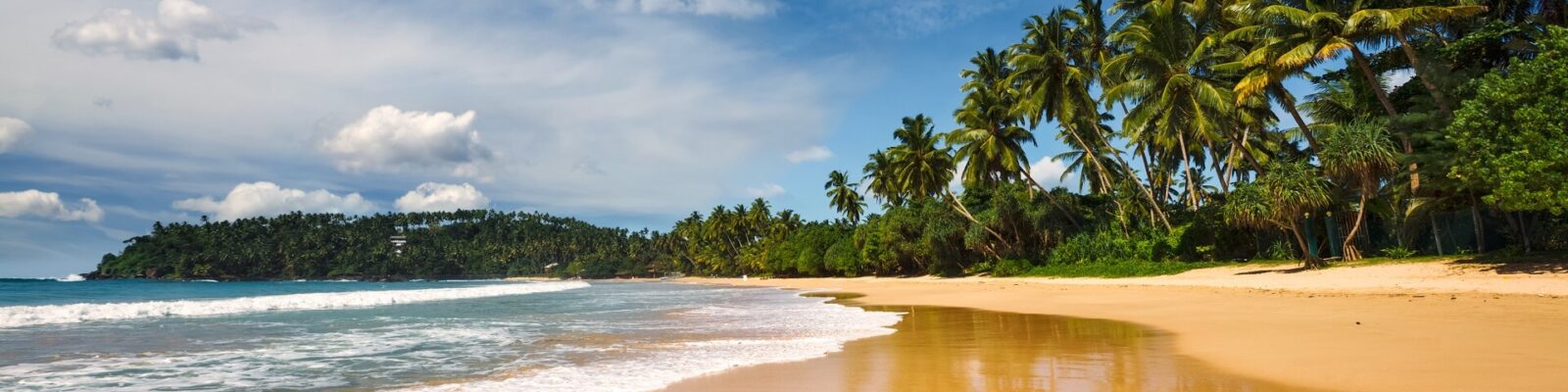 Idyllic beach. Sri Lanka