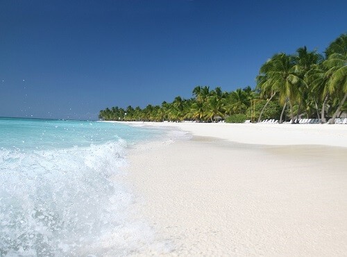 Sand Beach, Caribbean Ocean and Palm Trees