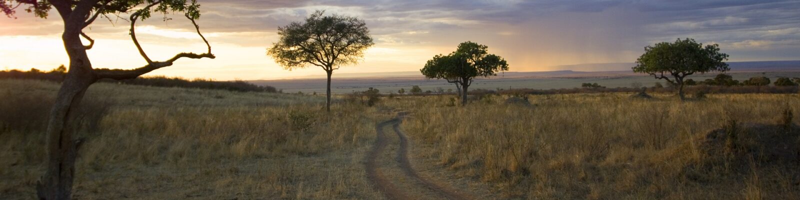 Masai Mara