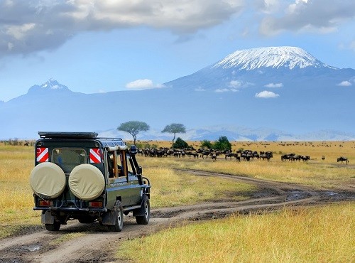 Lake Nakuru Landscape