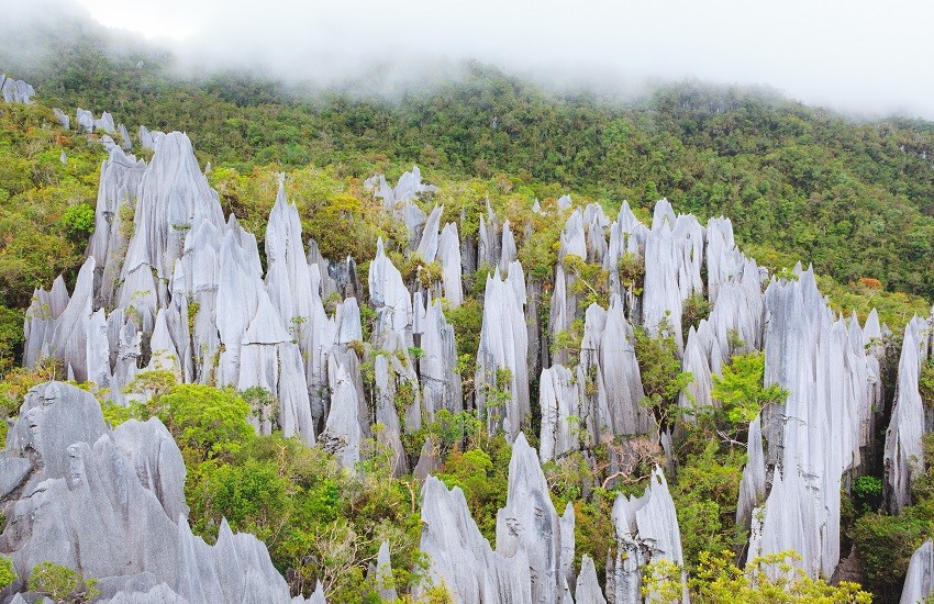 Borneo Gunung Mulu