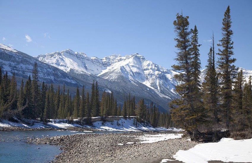 Jasper Landscape