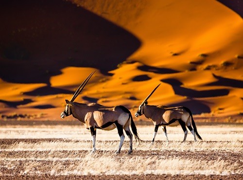 Sossusvlei, Namibia