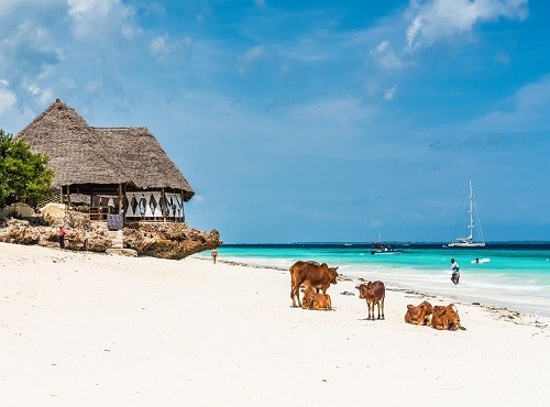 Zanzibar Beach