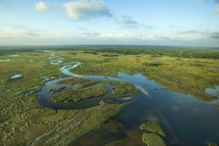 The Everglades are home to some of Florida's most stunning wildlife. Image credit: Thinkstock.