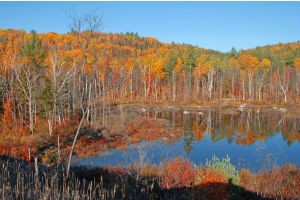 Adirondacks, image by Thinkstock/iStock