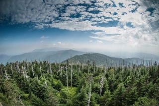 Great Smoky Mountains National Park, image by Thinkstock/iStock