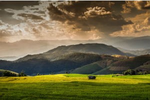 Vietnamese mountains and rice fields, image by Thinkstock/iStock