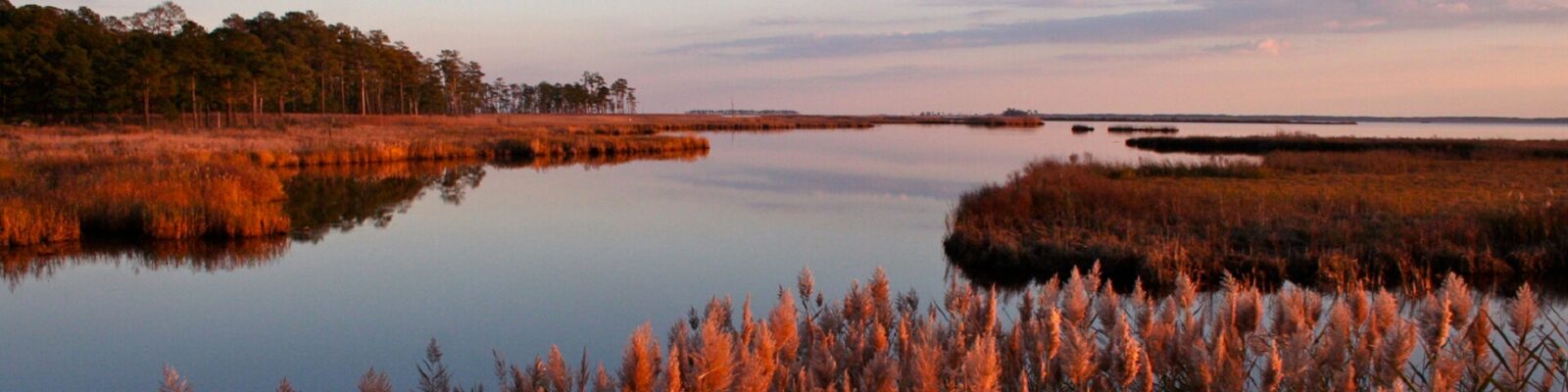 Capital Region Taster Road Trip