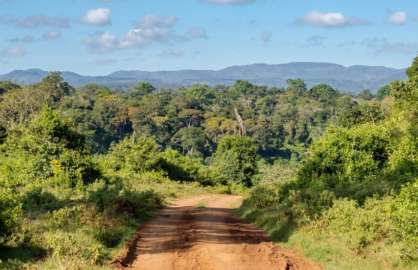 Aberdare National Park