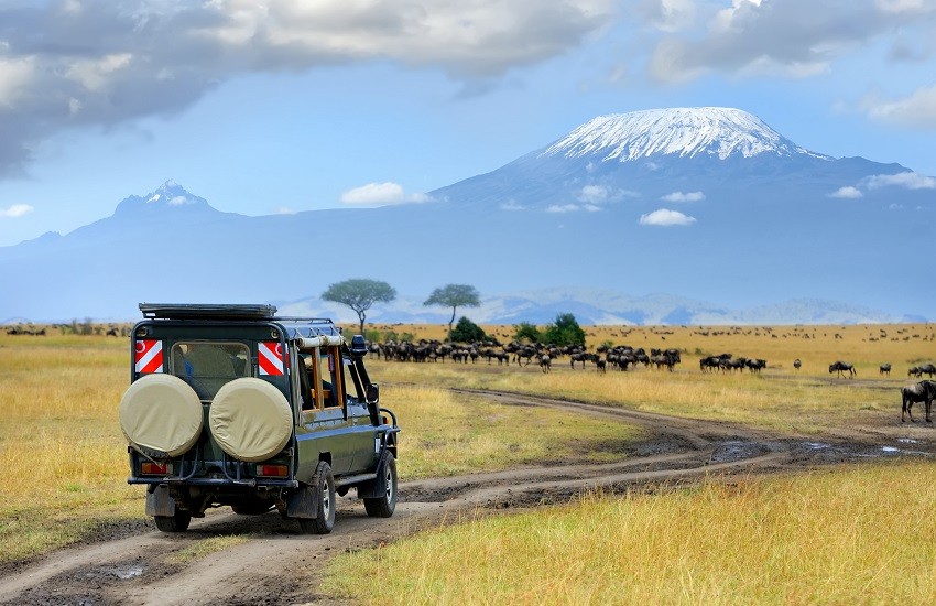 Amboseli Game Drive