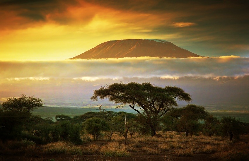 Amboseli Kilimanjaro