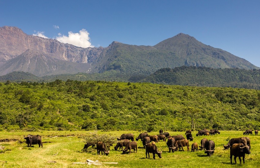 Arusha National Park