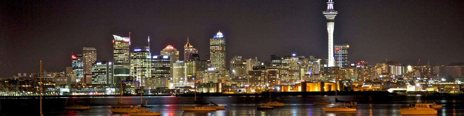 Auckland Skyline