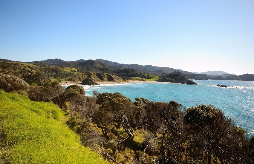 Bay of Islands Whangaruru