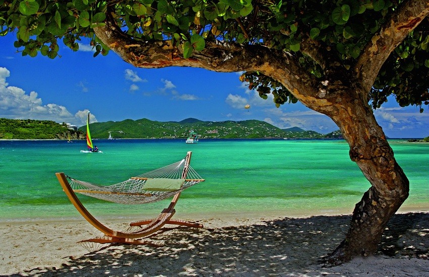 Beach Hammock