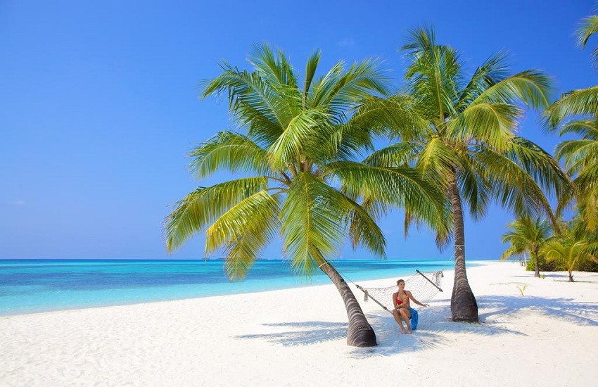 Beach Hammock