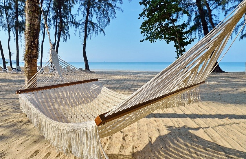 Beach Hammock