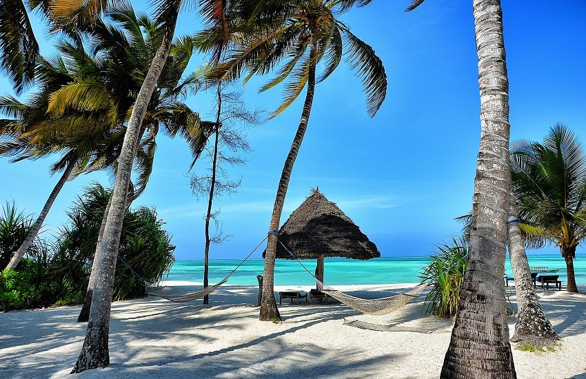 Beach Hammocks