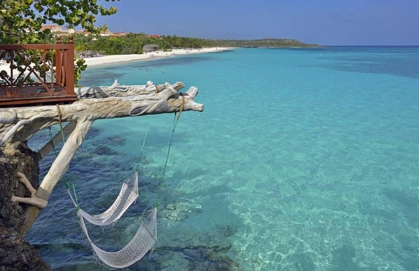 Beach Hammocks