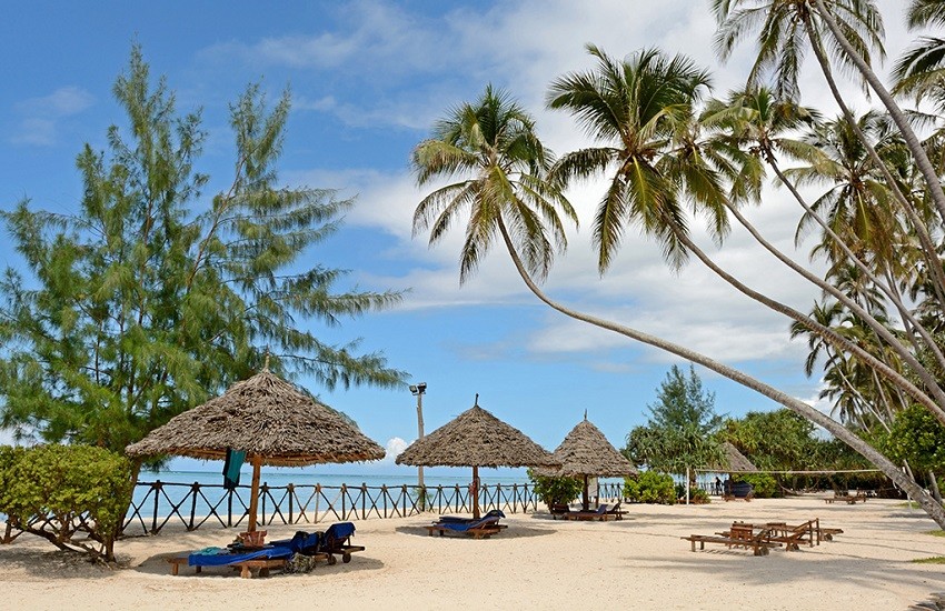 Beach Loungers