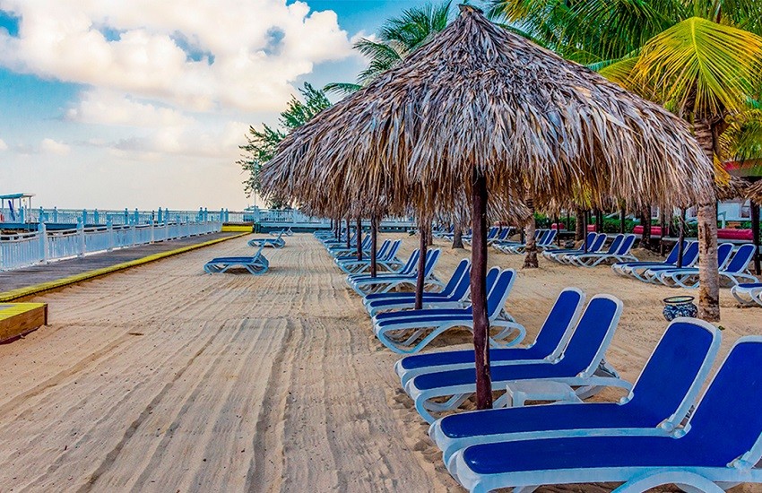 Beach Loungers