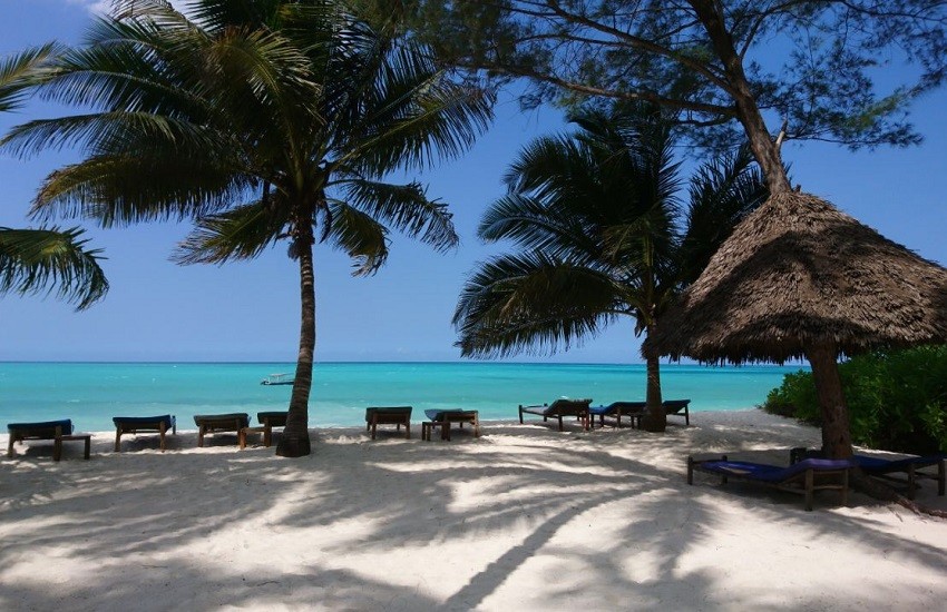 Beach Loungers