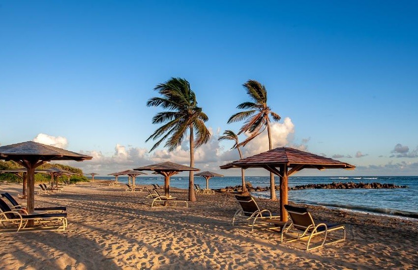 Beach Loungers