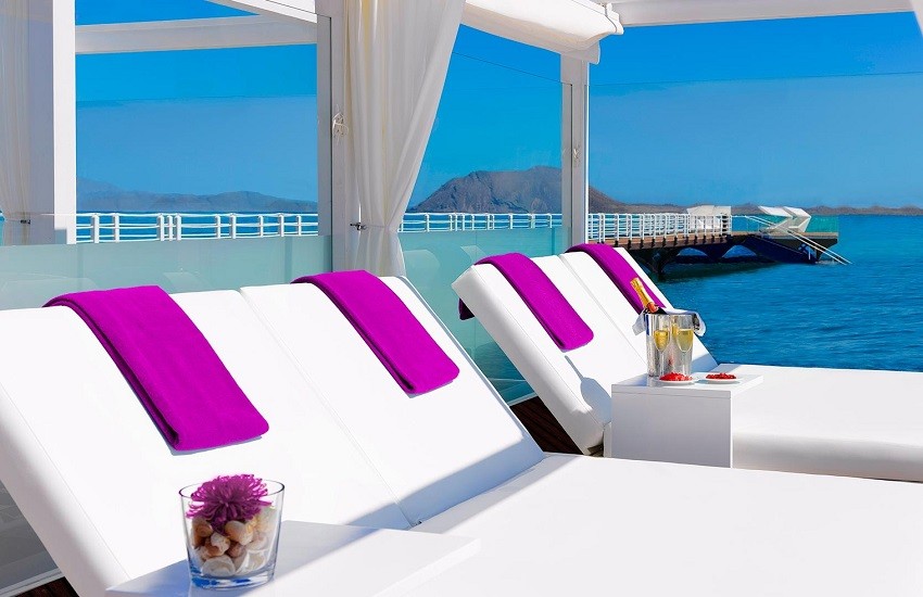 Beach Loungers