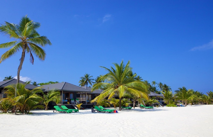 Beach Loungers