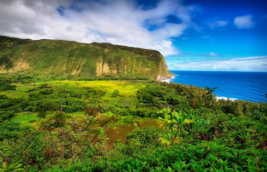 Big Island Coastline