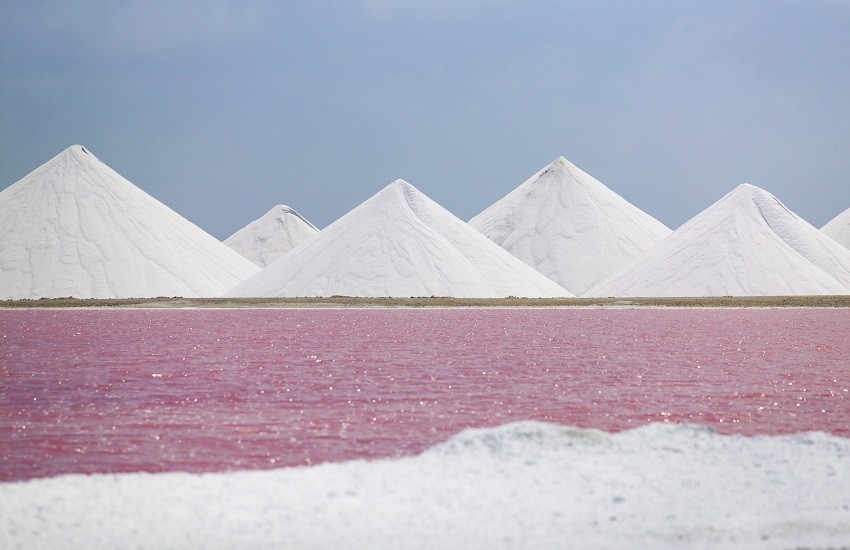 Bonaire Salt Ponds