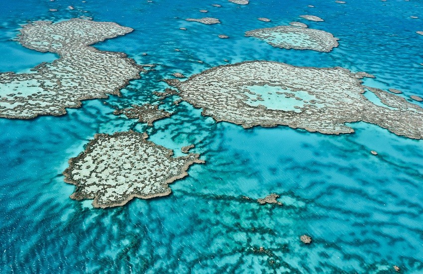 Cairns Great Barrier Reef