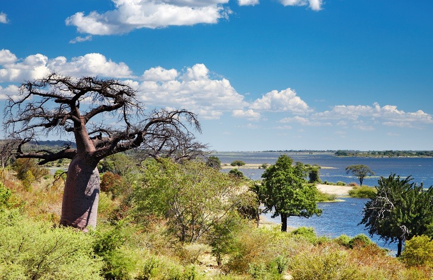 Chobe River Landscape