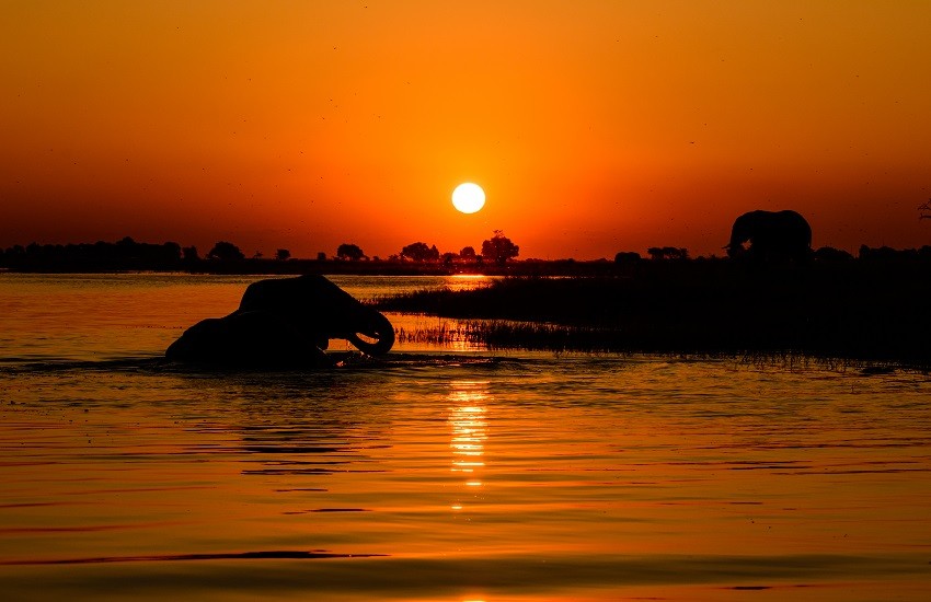 Chobe River Sunset