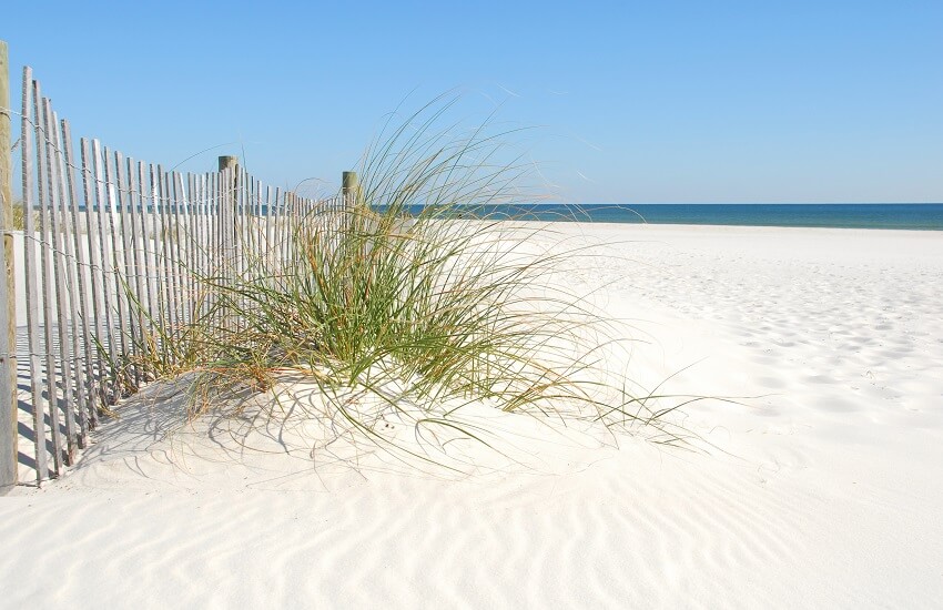 Clearwater Dunes