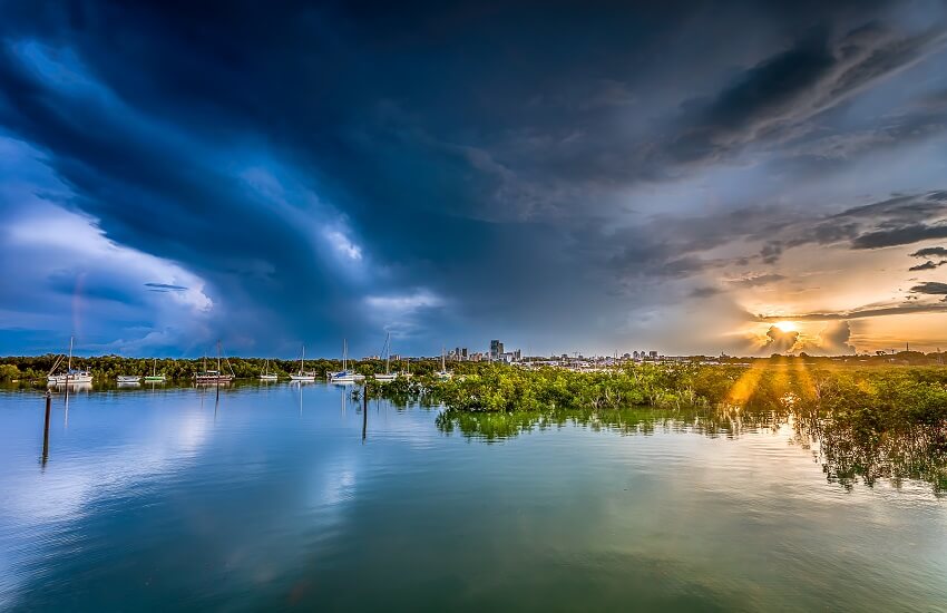 Darwin's Coast