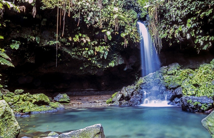 Dominica Emerald Pool