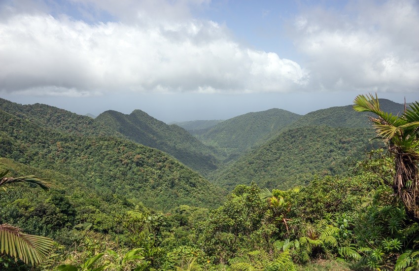 Dominica Mountains