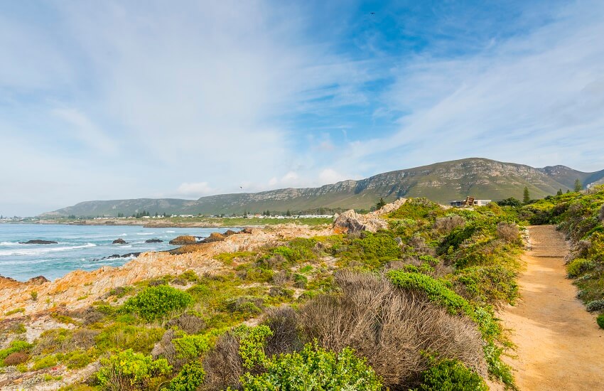 Hermanus Coastline