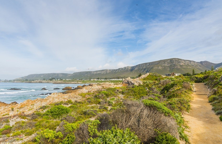 Hermanus Town Landscape