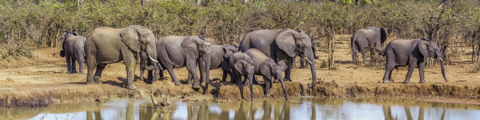 Kruger National Park