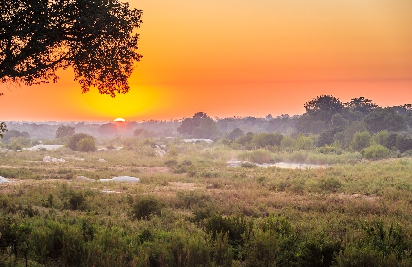 Sunrise in the Kruger Park