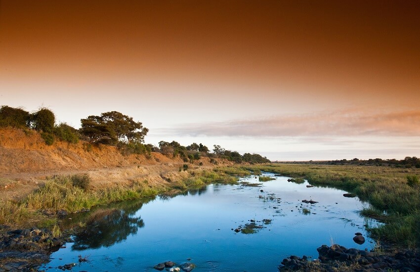 Kruger Landscape